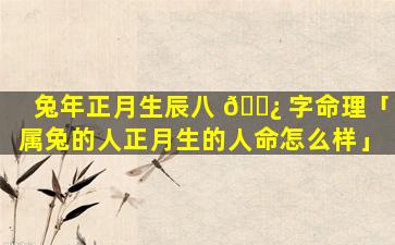 兔年正月生辰八 🌿 字命理「属兔的人正月生的人命怎么样」